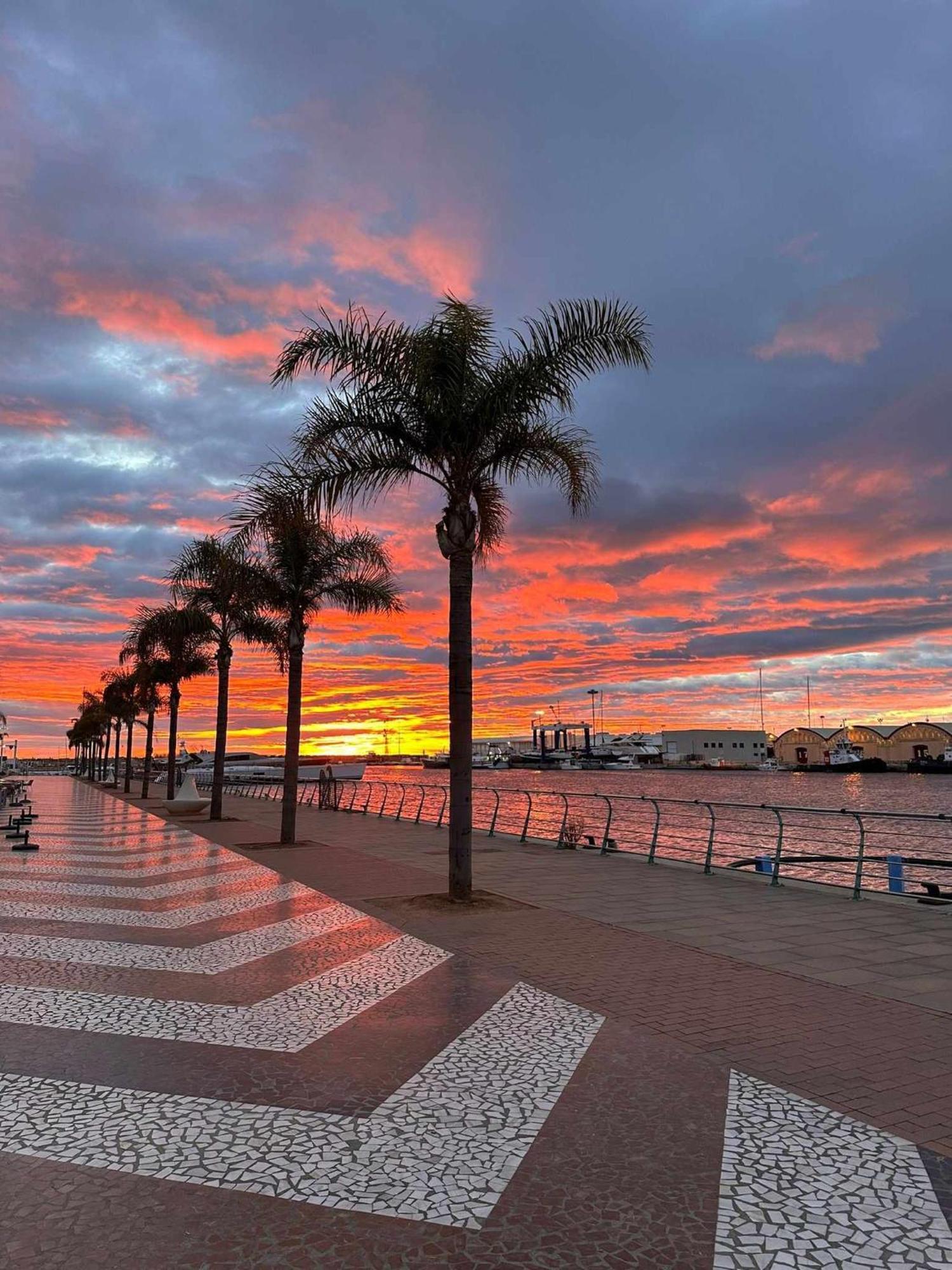 Apartament Ambar Gandia Playa-Grao Con Piscina Parking Ideal Para Familias Exteriér fotografie